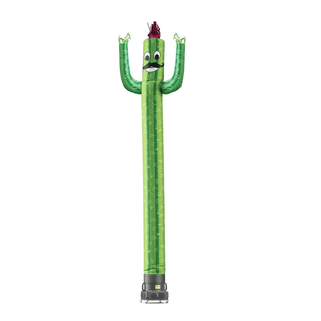 דנסר קקטוס